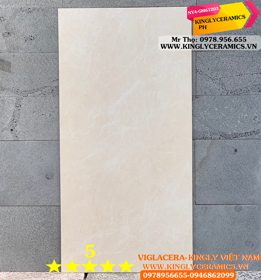 Gạch Viglacera 60x120 NY4GM61203